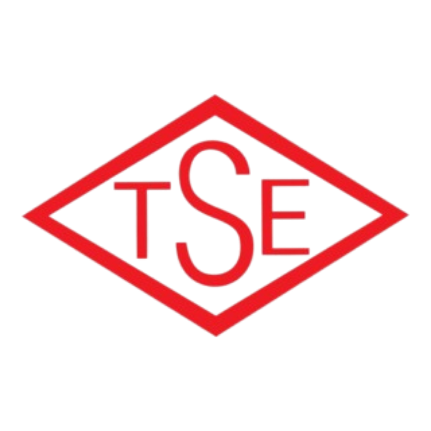 TSE Logo